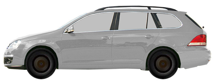 Volkswagen Golf V 1K5 Variant (2007-2008) 1.4